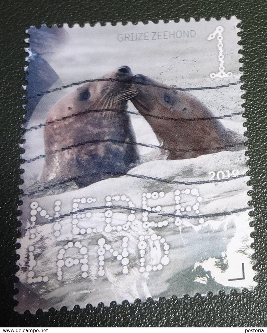 Nederland - NVPH - Xxxx - 2019 - Gebruikt - Beleef De Natuur - Grijze Zeehond - Used Stamps