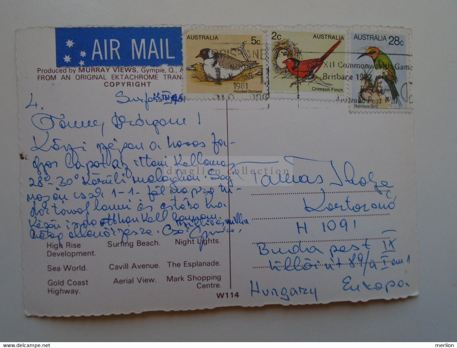 D183839  Australia - Gold Coast  -Surfers Paradise  -Queensland  - Cancel  Brisbane  1981  Sent To Hungary - Gold Coast