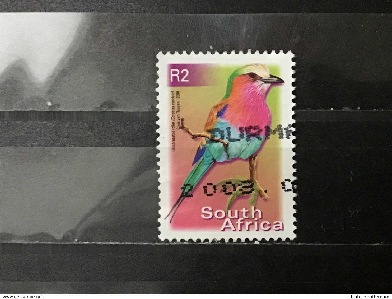 Zuid-Afrika / South Africa - Vogels (R2) 2000 - Oblitérés