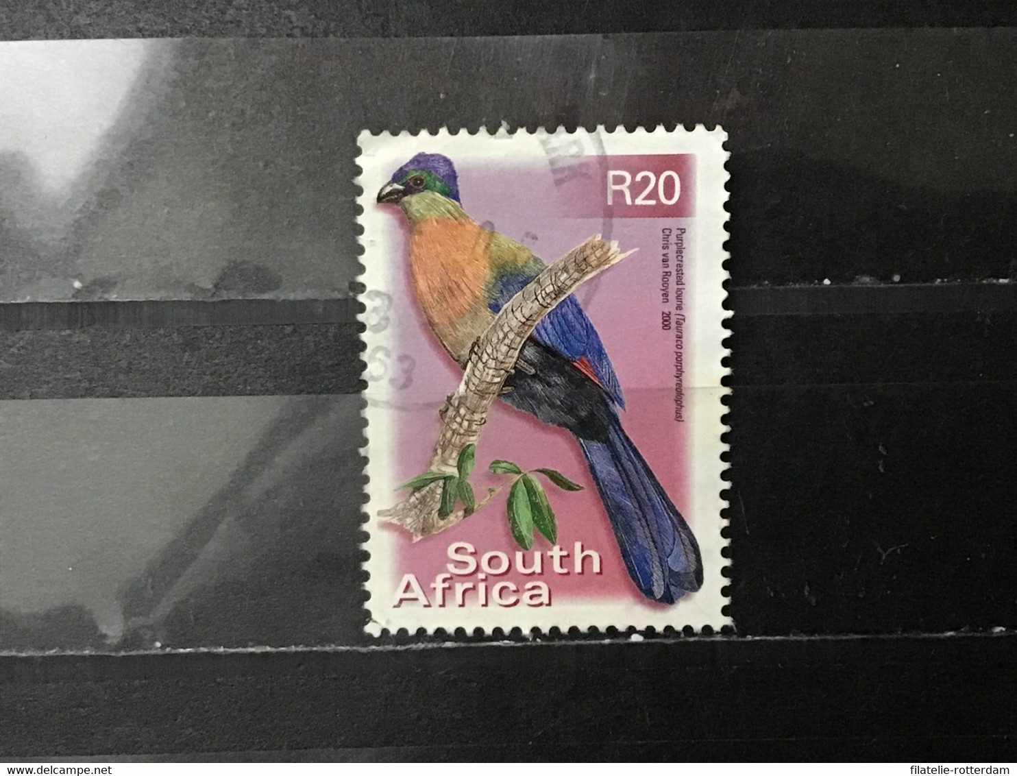 Zuid-Afrika / South Africa - Vogels (R20) 2000 - Used Stamps