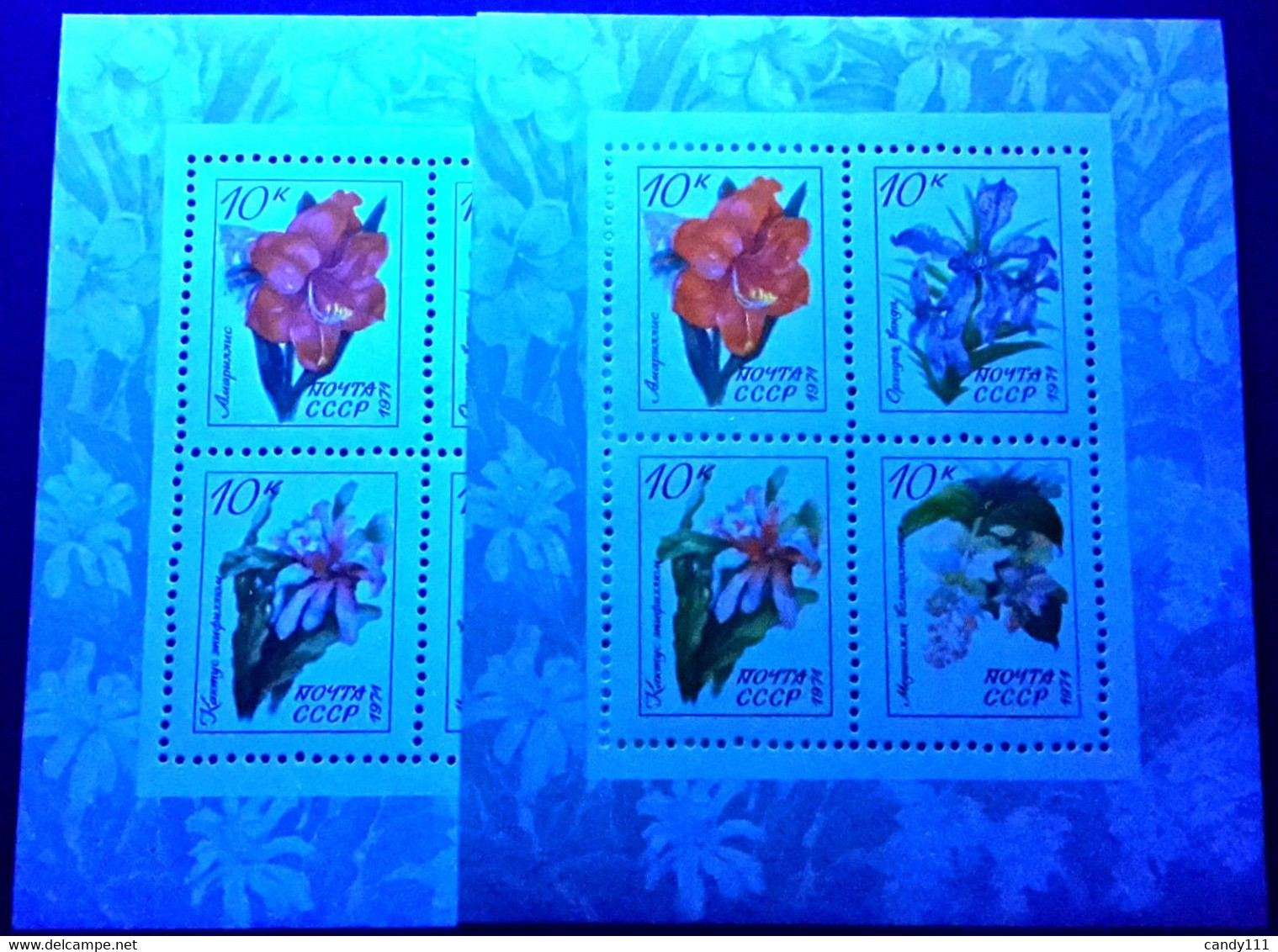 Russia 1971 Tropical Flowers, Orchid, Cactus,Mi.Bl.73 X2,MNH Paper Variety ERROR - Plaatfouten & Curiosa