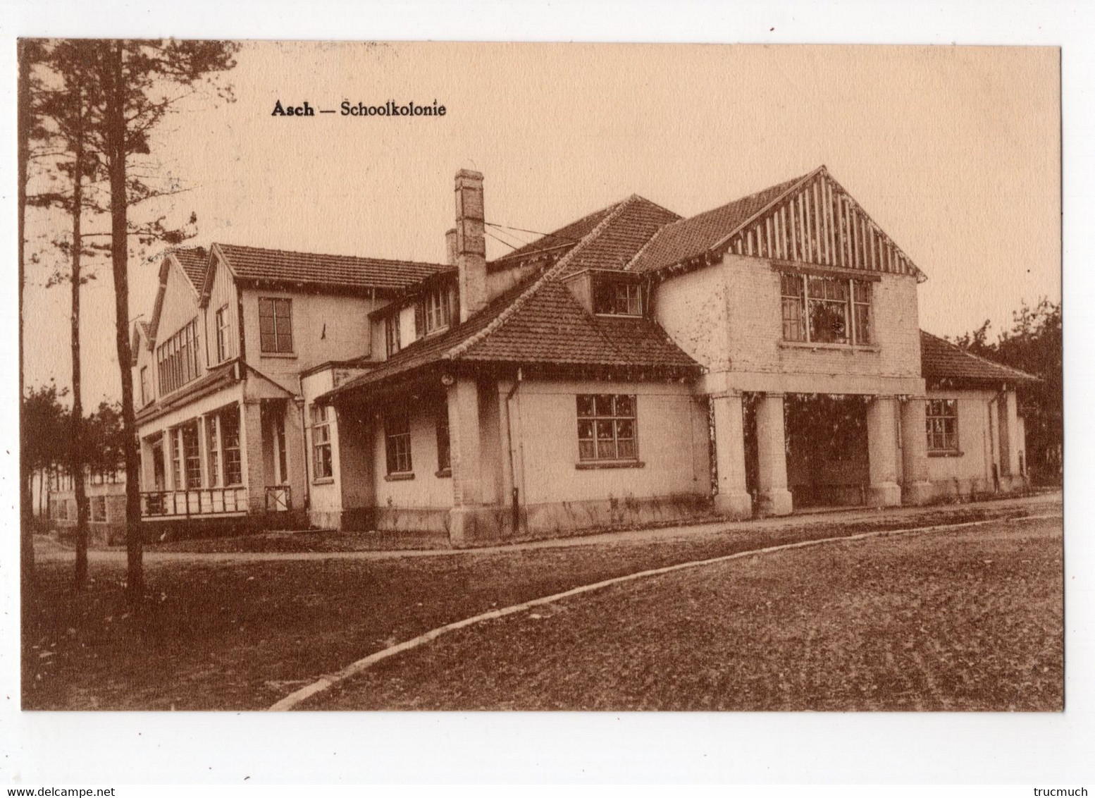 ASCH - Schoolkolonie - As