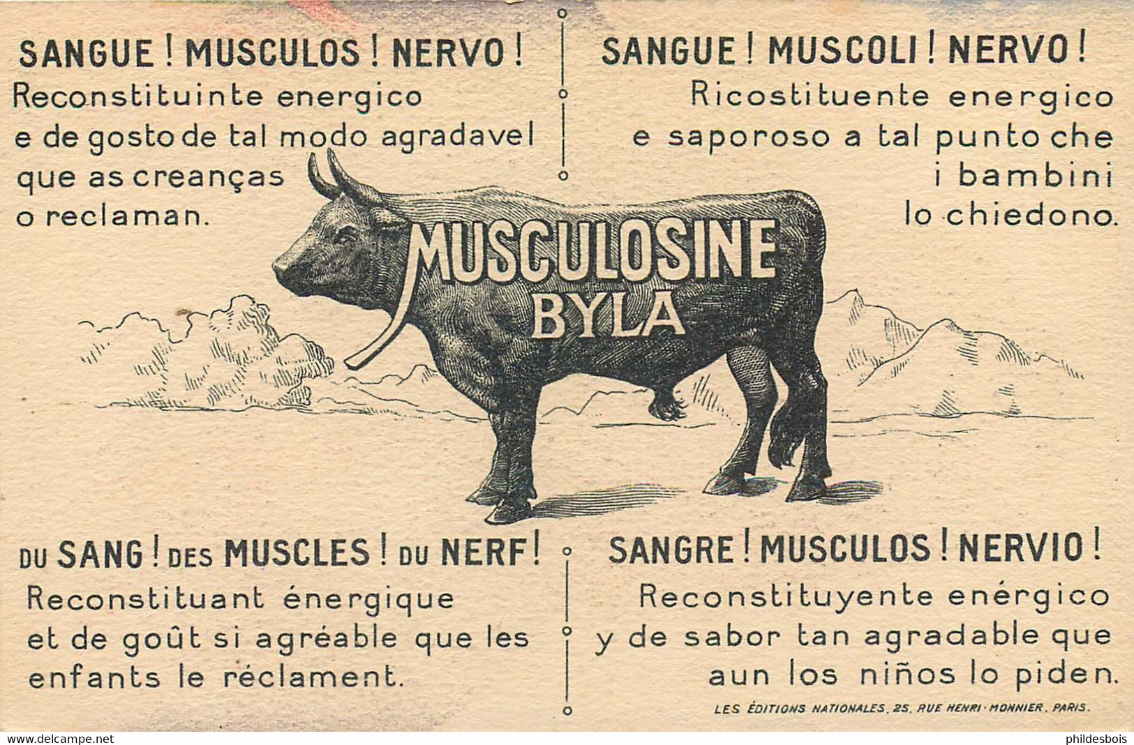 MUSCULOSINE Byla Illustrateur  Fonseca  SAMOYEDE (carte Publicitaire) - Publicité