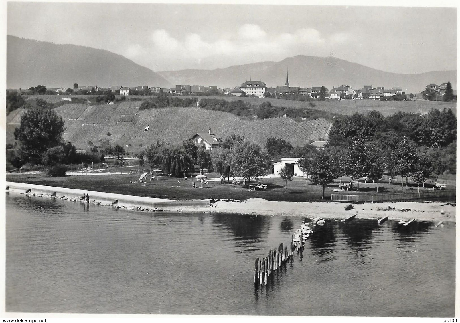 Suisse - Cortaillod (NE) - Vignoble Et Plage - Cortaillod