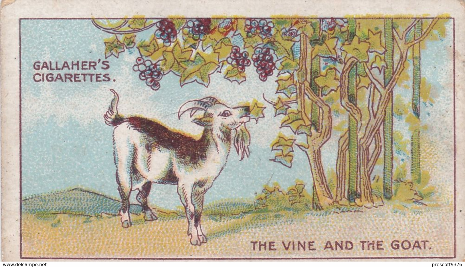 57 The Vine & Goat, Fables & Their Morals 1922  - Gallaher Cigarette Card - Original - Antique - Gallaher