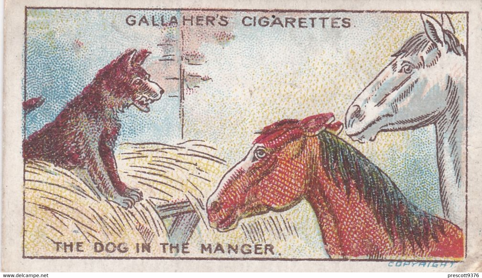 67 Dog In The Manger, Fables & Their Morals 1922  - Gallaher Cigarette Card - Original - Antique - Gallaher