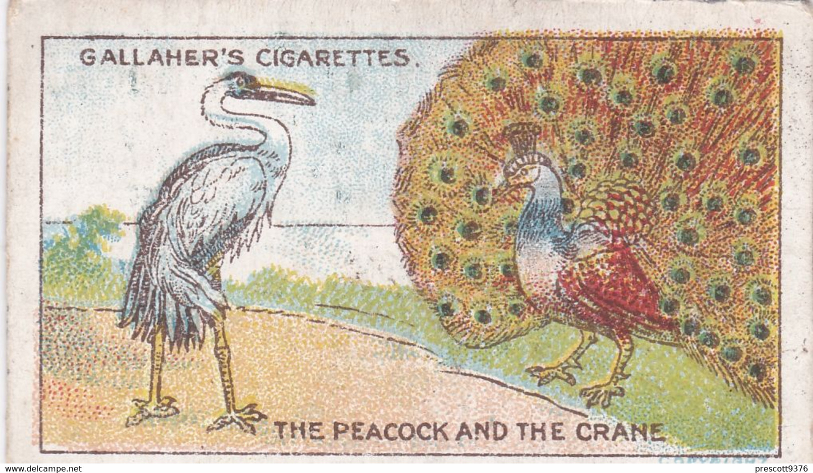 51 The Peacock & The Crane, Fables & Their Morals 1922  - Gallaher Cigarette Card - Original - Antique - Gallaher