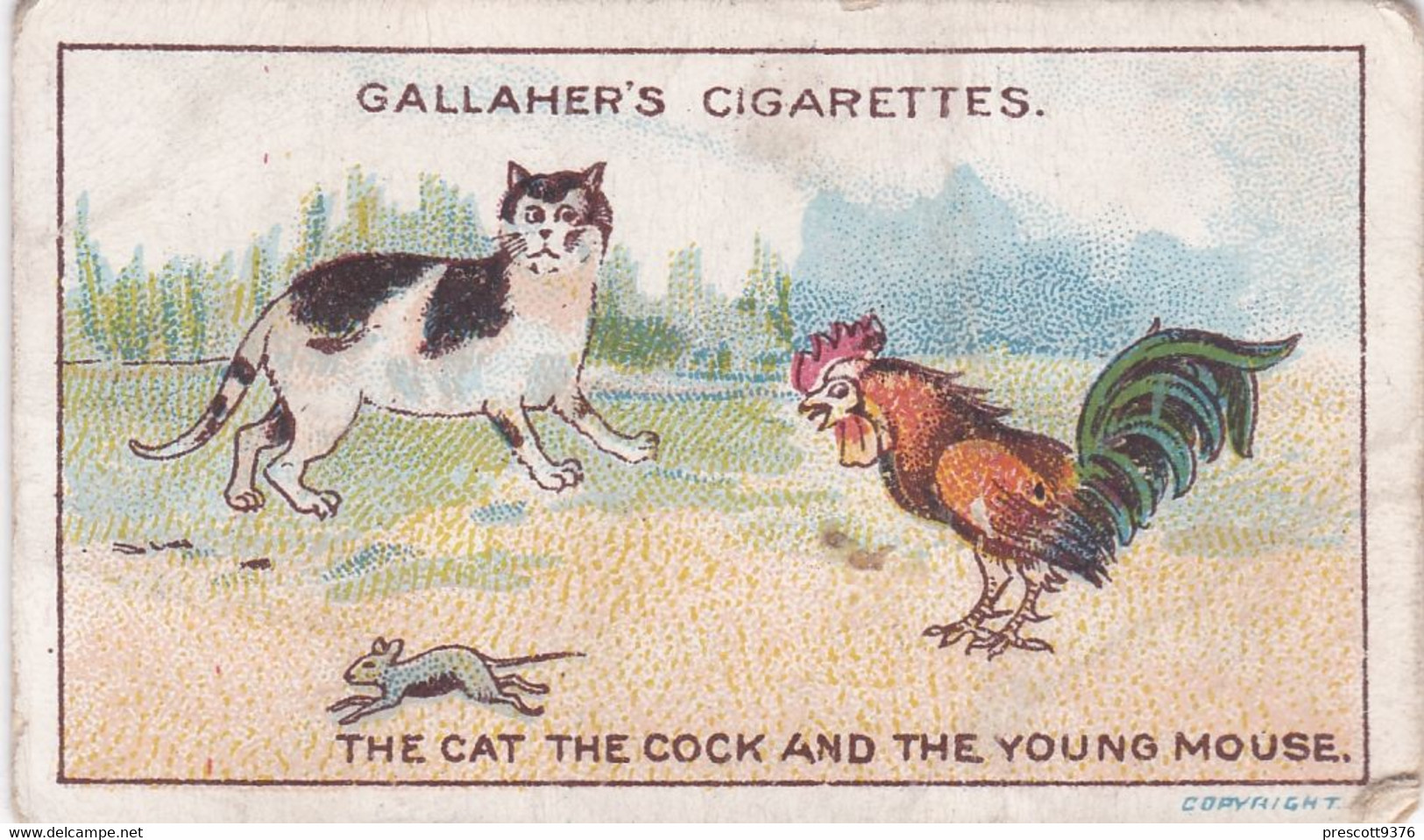 35 The Cat The Cock & The Young Mouse Fables & Their Morals 1922  - Gallaher Cigarette Card - Original - Antique - Gallaher