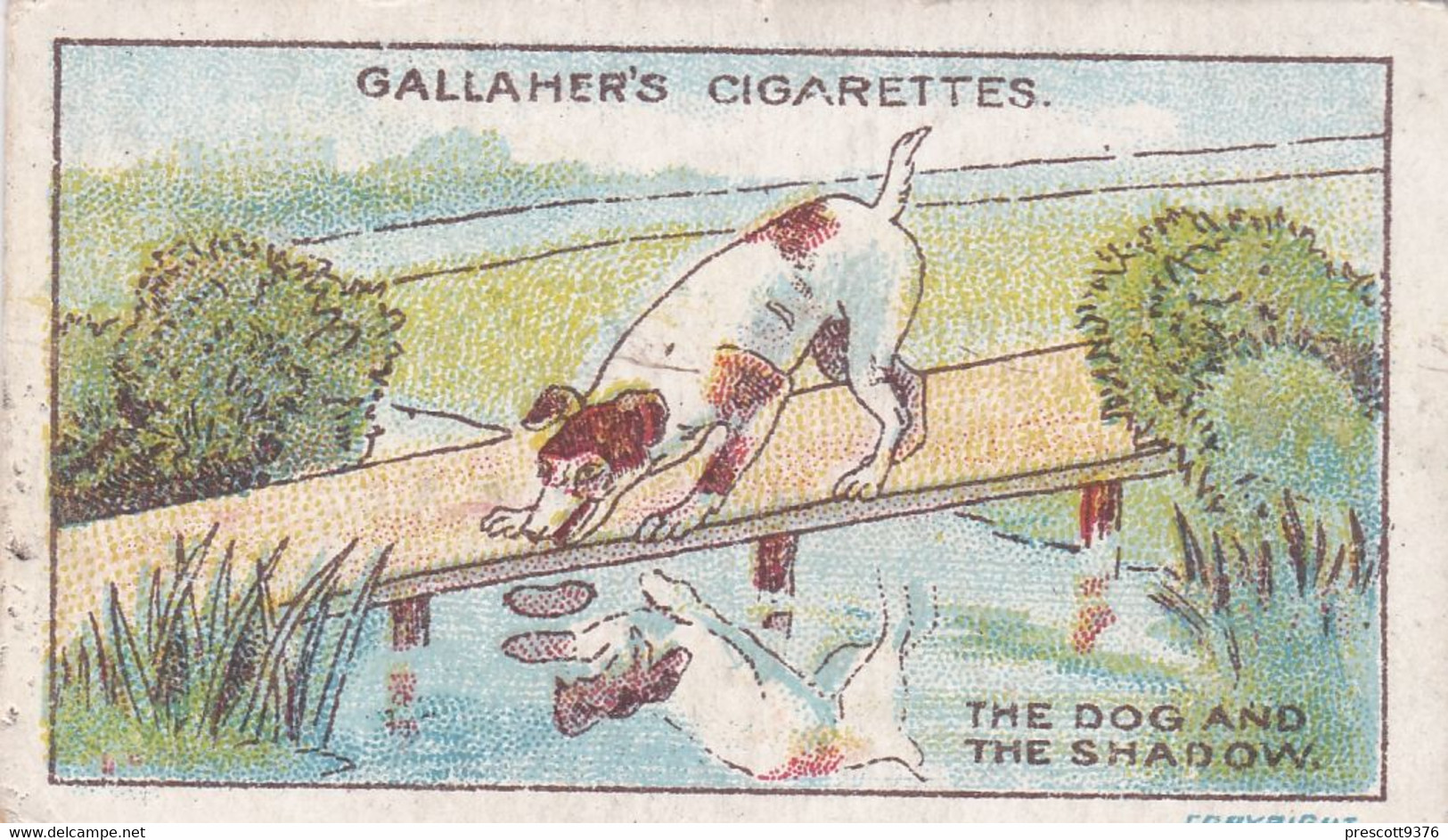 The Dog & The Shadow, Fables & Their Morals 1922  - Gallaher Cigarette Card - Original - Antique - Gallaher