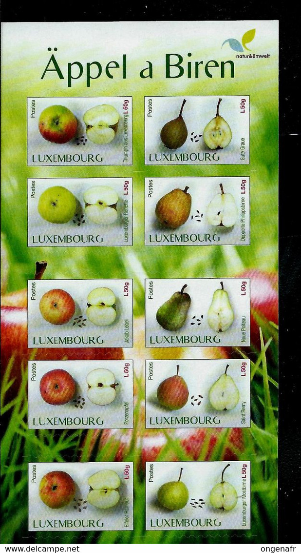 Nouveautées De 2016: 10 Timbres Validitée Permanente E 50 Gr  Fruits: Pommes Et Poires    (état: Xx) - Cuadernillos