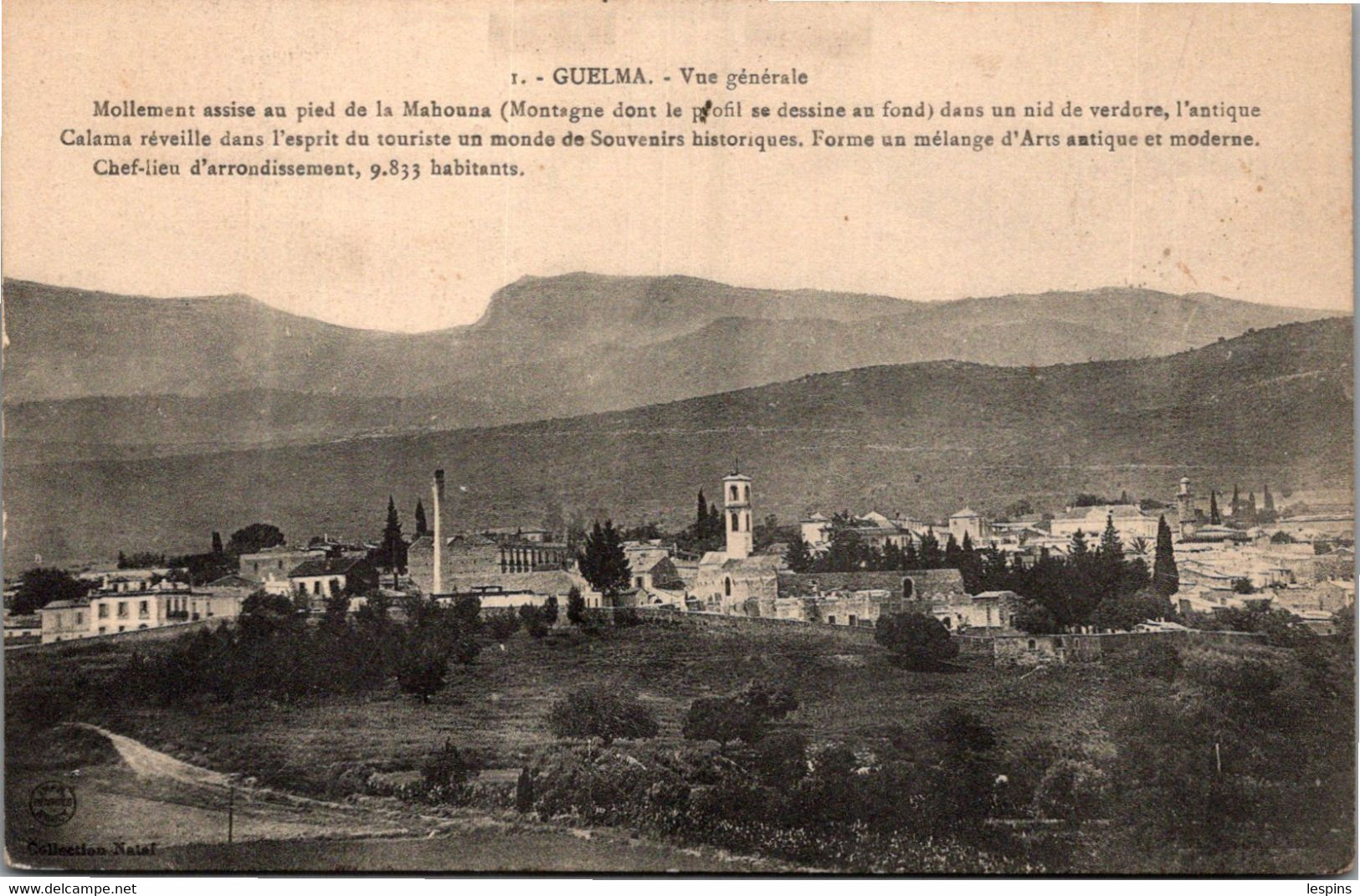 ALGERIE -- GUELMA -- Vue Générale - Guelma