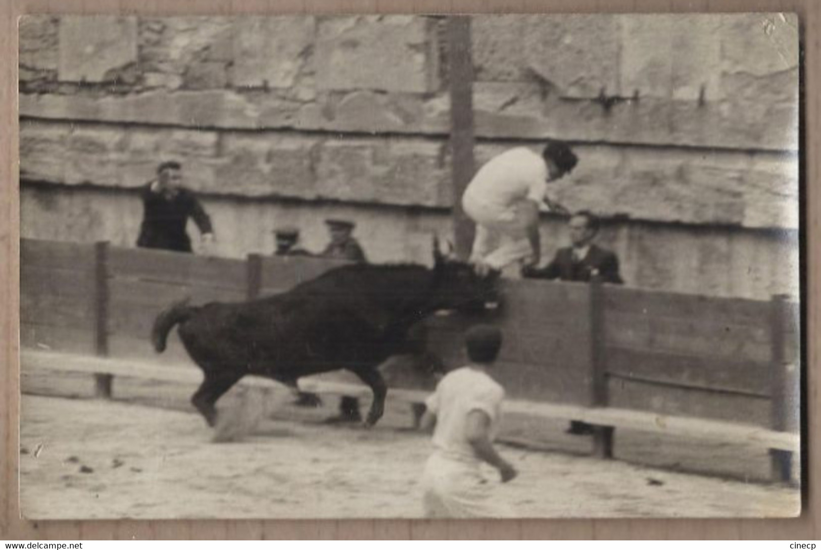 CPA PHOTO 13 - CAMARGUE - TB PLAN COURSE TAUREAU RAZETEUR En Action Dans Arènes PHOTO GEORGE - Other & Unclassified