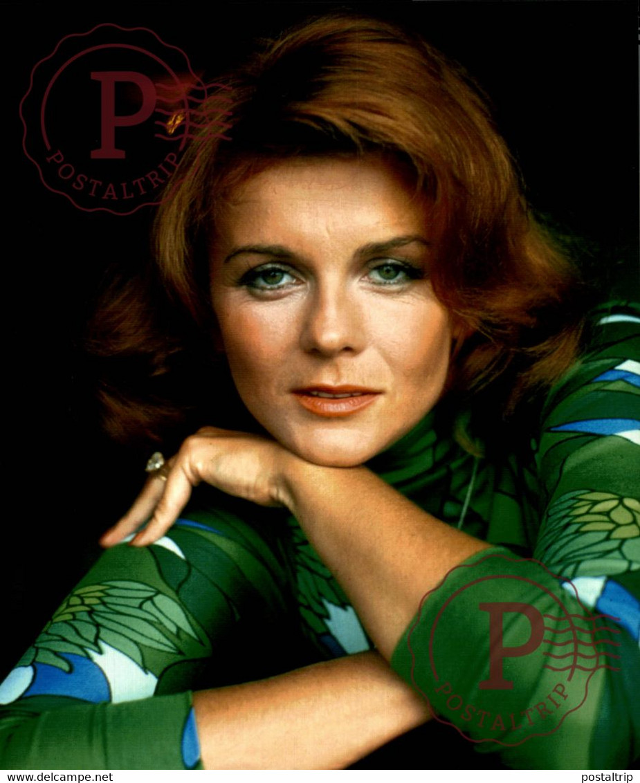 ANN MARGRET.  25,5X20CM - Photographs