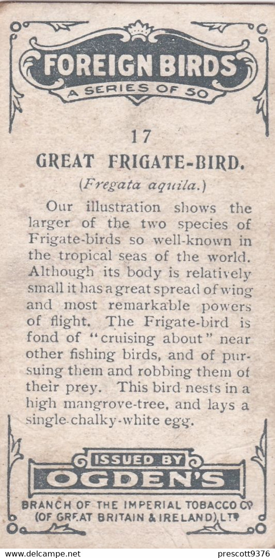 17 Great Frigate Bird - Foreign Birds 1924 - Ogdens  Cigarette Card - Original - Wildlife - Ogden's