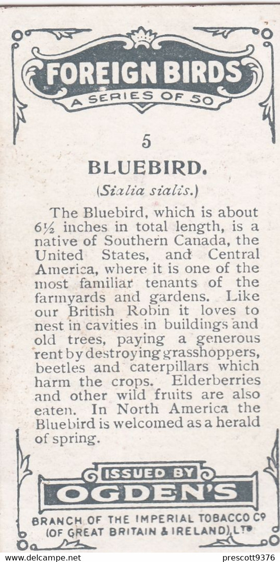 5 Bluebird - Foreign Birds 1924 - Ogdens  Cigarette Card - Original - Wildlife - Ogden's