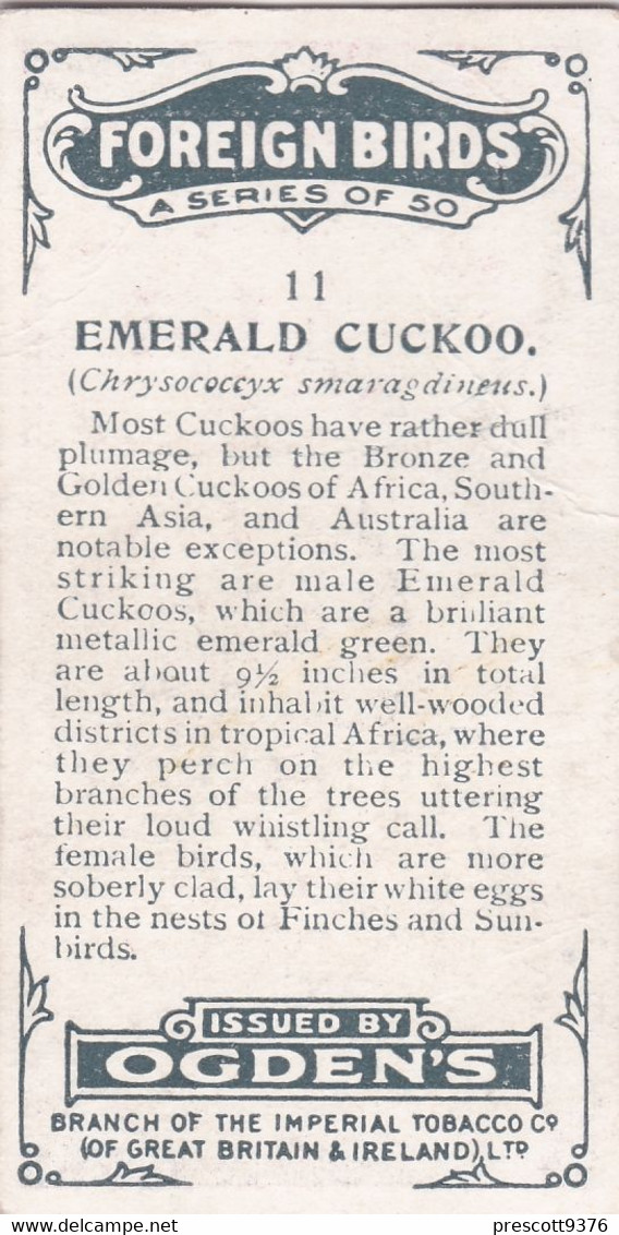 11 Emerald Cuckoo  - Foreign Birds 1924 - Ogdens  Cigarette Card - Original - Wildlife - Ogden's