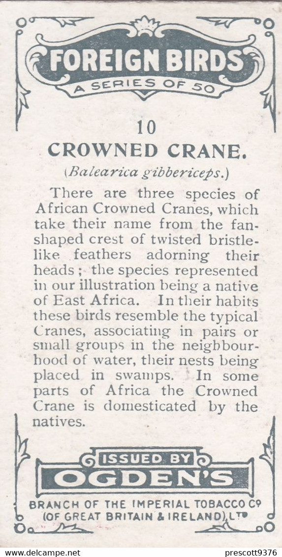 10 Crowned Crane  - Foreign Birds 1924 - Ogdens  Cigarette Card - Original - Wildlife - Ogden's