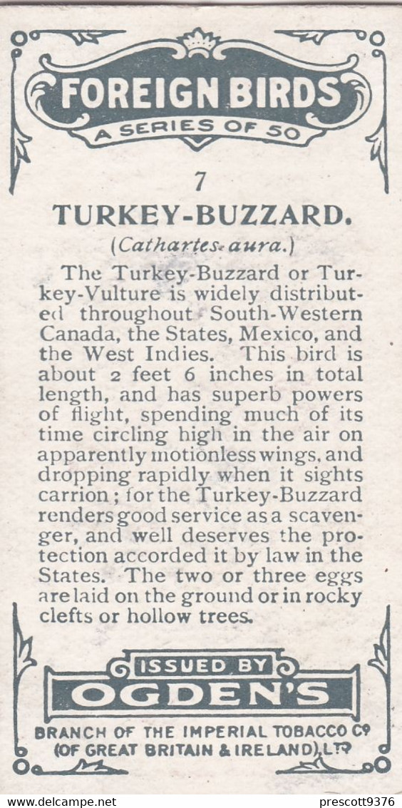 7 Turkey Buzzard  - Foreign Birds 1924 - Ogdens  Cigarette Card - Original - Wildlife - Ogden's