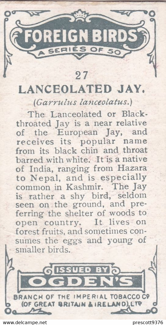 27 Lanceolated Jay - Foreign Birds 1924 - Ogdens  Cigarette Card - Original - Wildlife - Ogden's
