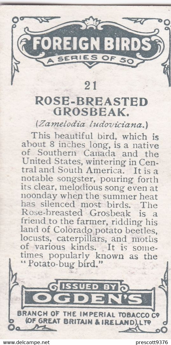 21 Rose Breasted Grosbeak - Foreign Birds 1924 - Ogdens  Cigarette Card - Original - Wildlife - Ogden's