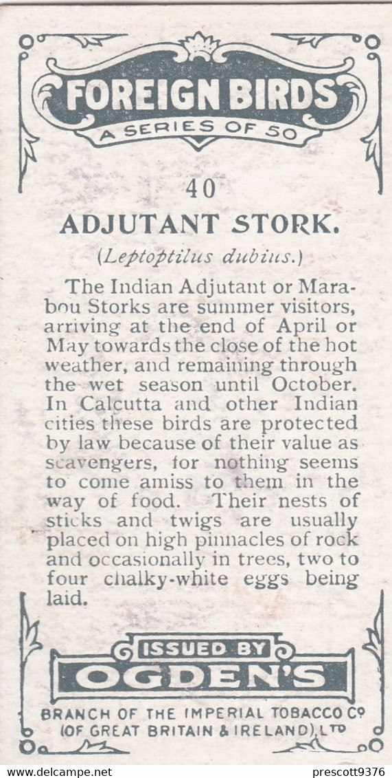 40 Adjutant Stork - Foreign Birds 1924 - Ogdens  Cigarette Card - Original - Wildlife - Ogden's