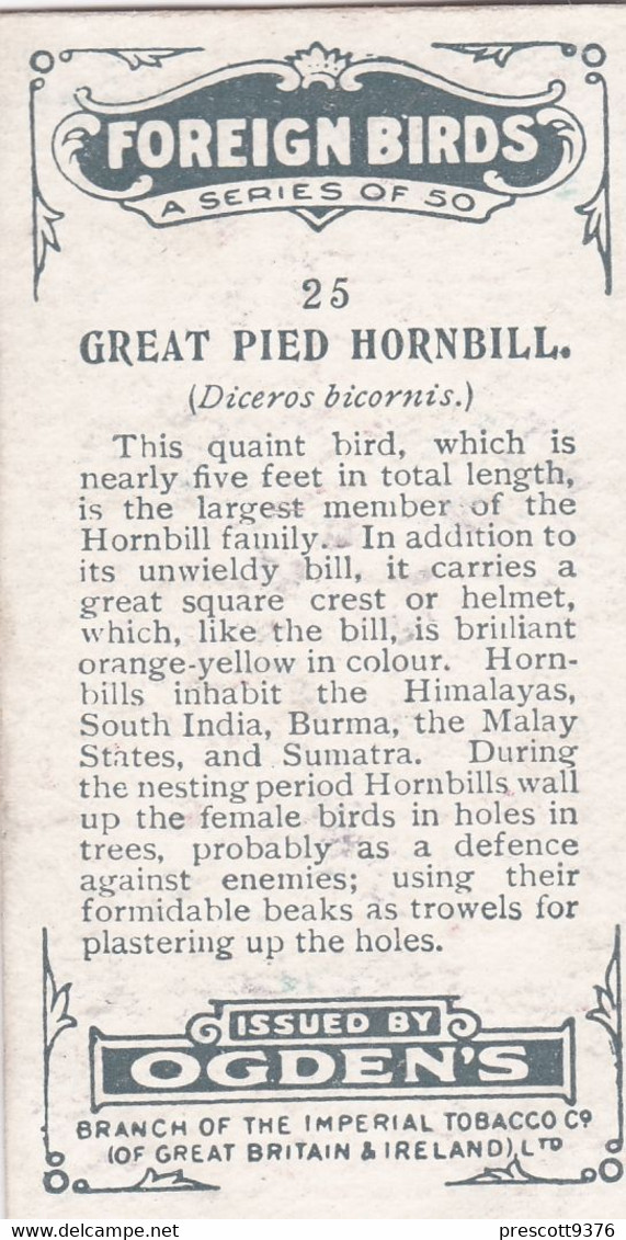 25 Great Pied Hormbill  - Foreign Birds 1924 - Ogdens  Cigarette Card - Original - Wildlife - Ogden's