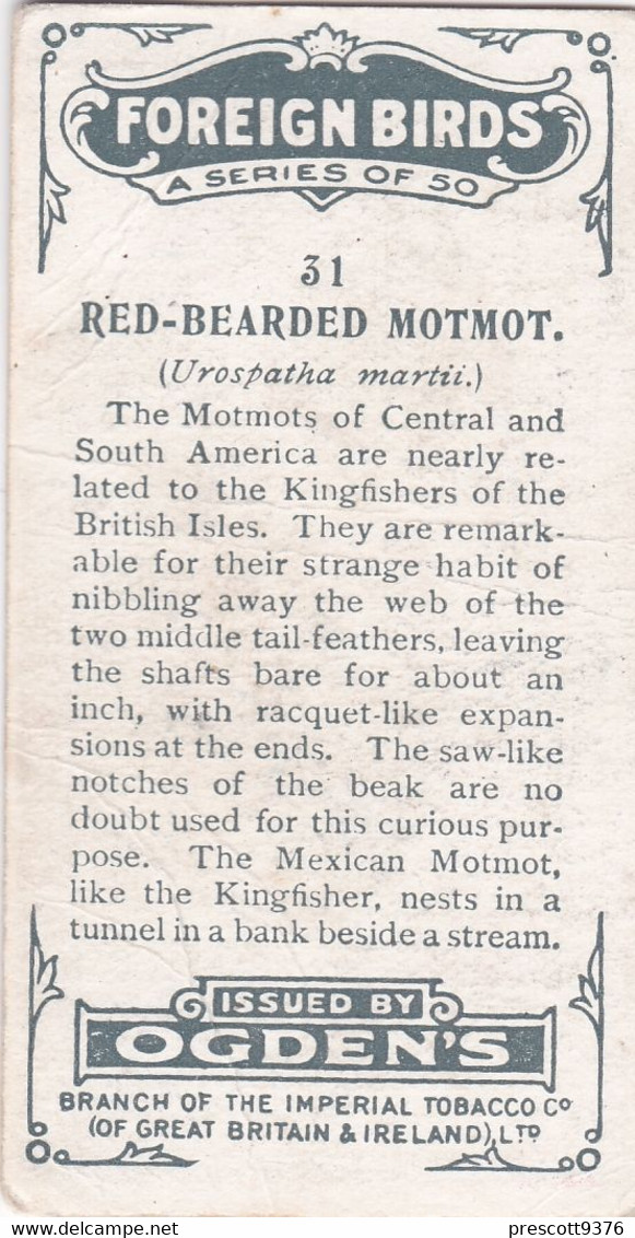31 Red Bearded Motmot  - Foreign Birds 1924 - Ogdens  Cigarette Card - Original - Wildlife - Ogden's