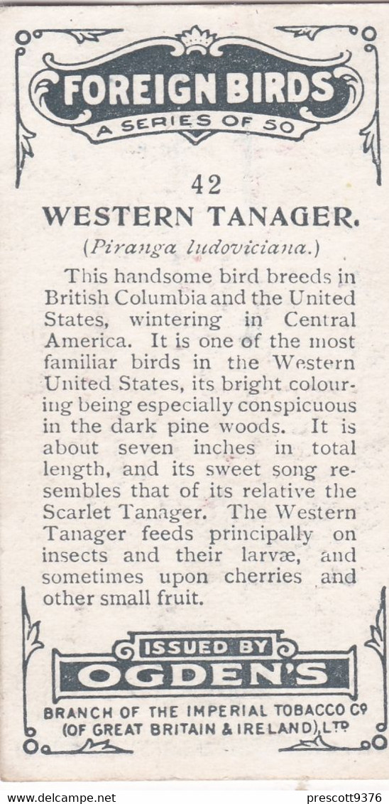 42 Western Tanager - Foreign Birds 1924 - Ogdens  Cigarette Card - Original - Wildlife - Ogden's