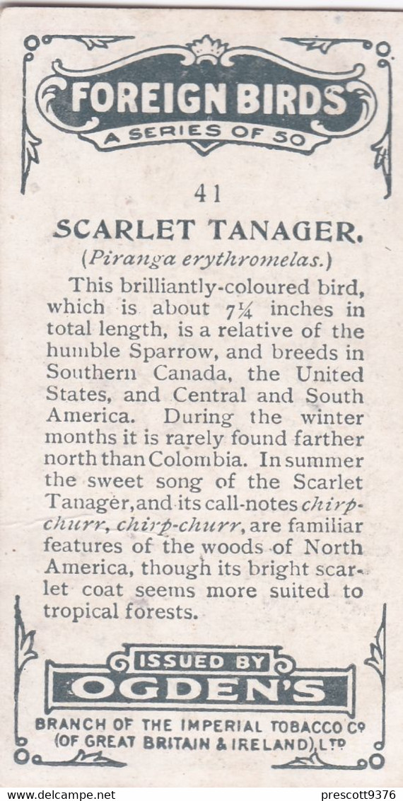 41 Scarlet Tanager - Foreign Birds 1924 - Ogdens  Cigarette Card - Original - Wildlife - Ogden's