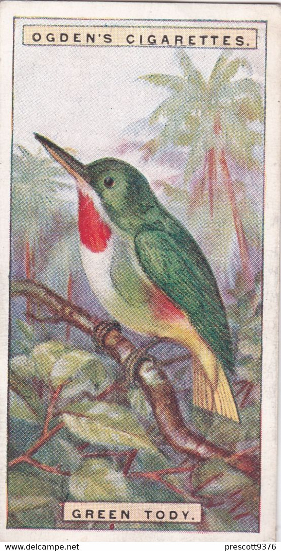 44 Green Tody - Foreign Birds 1924 - Ogdens  Cigarette Card - Original - Wildlife - Ogden's