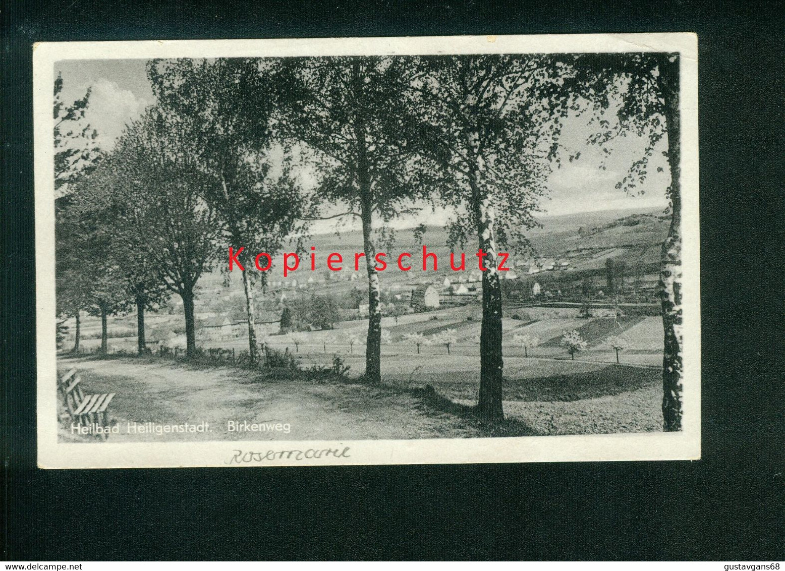 AK Heilbad Heiligenstadt, Birkenweg, LK Eichsfeld, Gel. 1954 Nach Meißen - Heiligenstadt