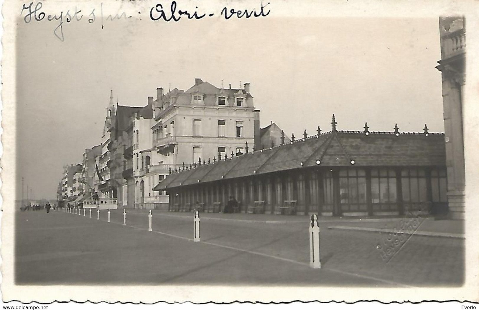 Heyst - Abri-vent - Carte Photo - Heist