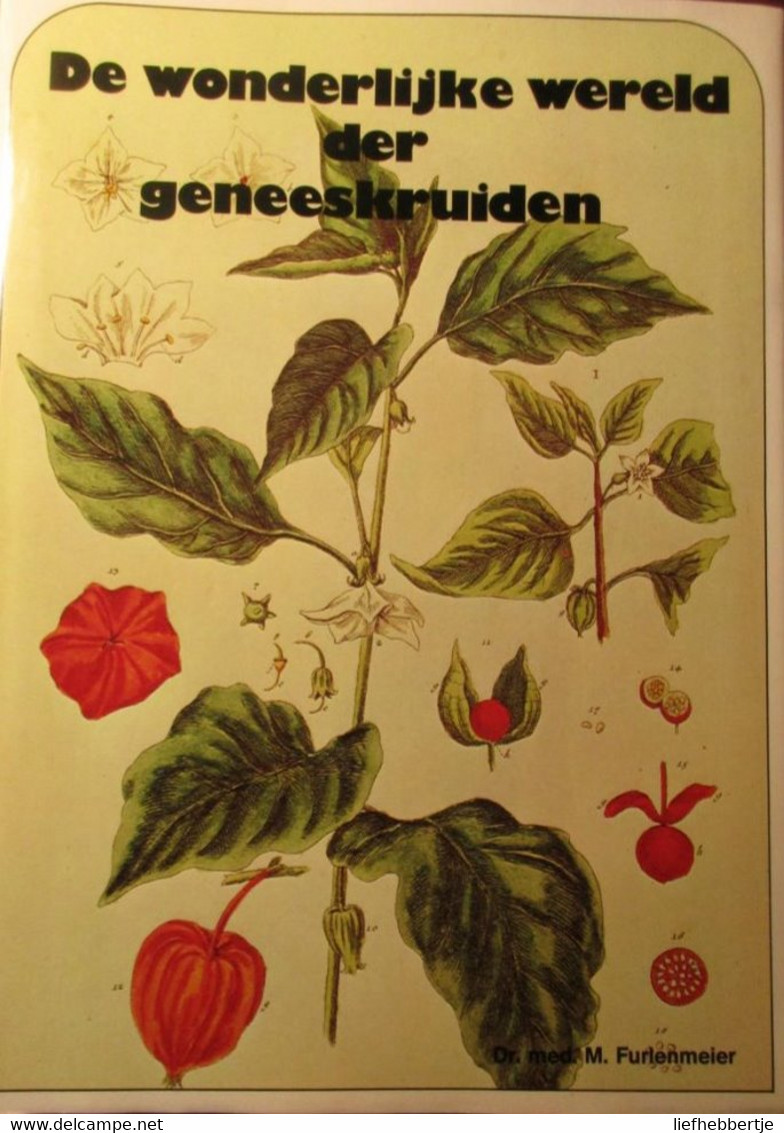De Wonderlijke Wereld Der Geneeskruiden - Door M. Furlenmeier - 1983 - Other & Unclassified