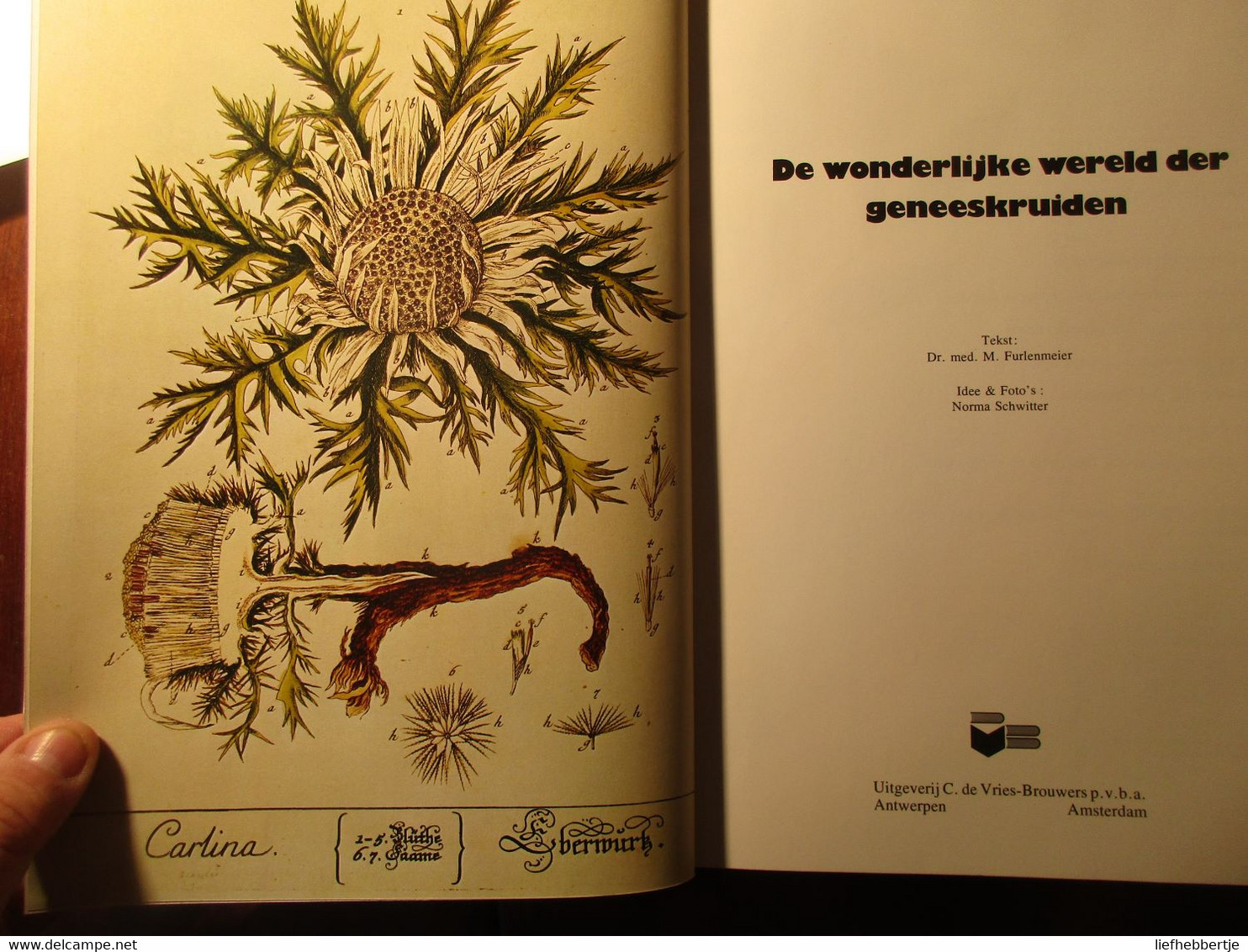 De Wonderlijke Wereld Der Geneeskruiden - Door M. Furlenmeier - 1983 - Other & Unclassified