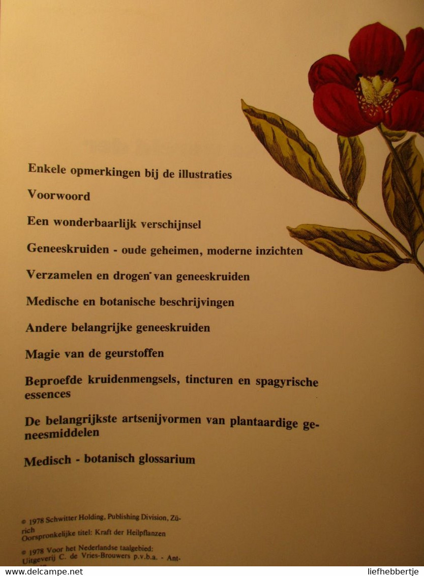 De wonderlijke wereld der geneeskruiden - door M. Furlenmeier - 1983