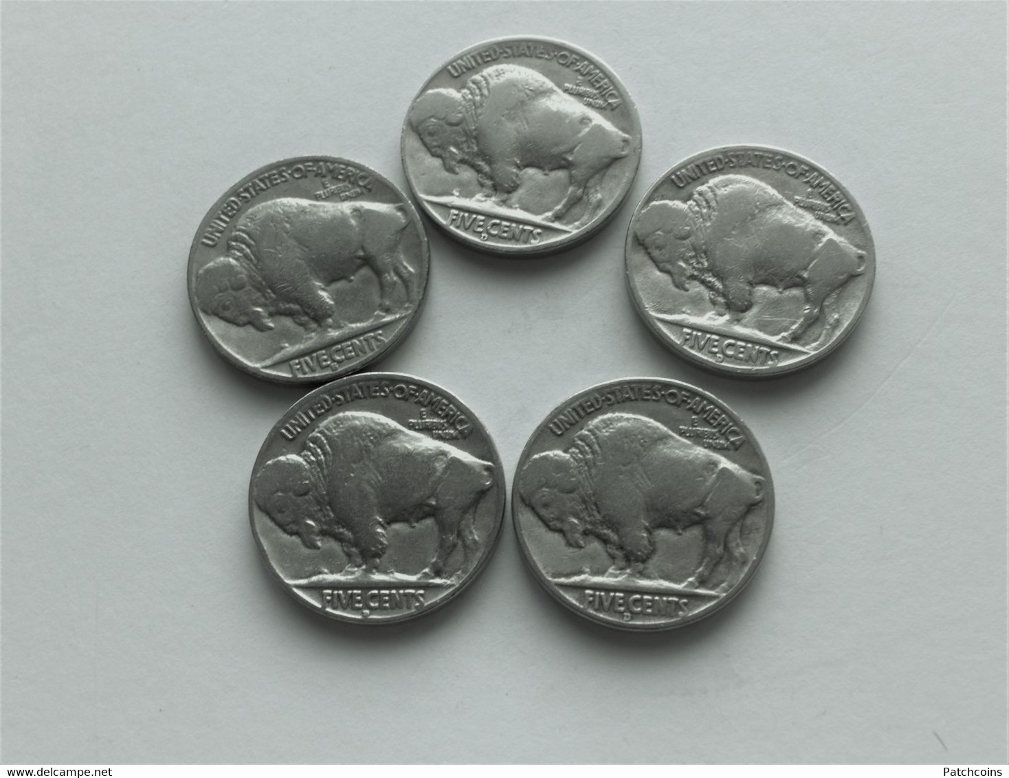 Set Of Buffalo - Other - America