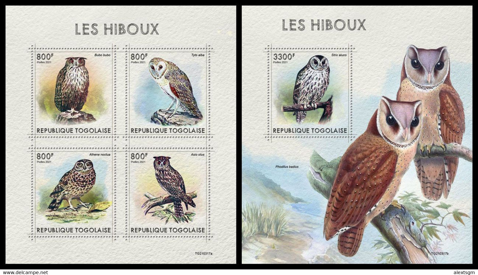 TOGO 2021 - Owls, M/S + S/S. Official Issue [TG210317] - Sonstige & Ohne Zuordnung