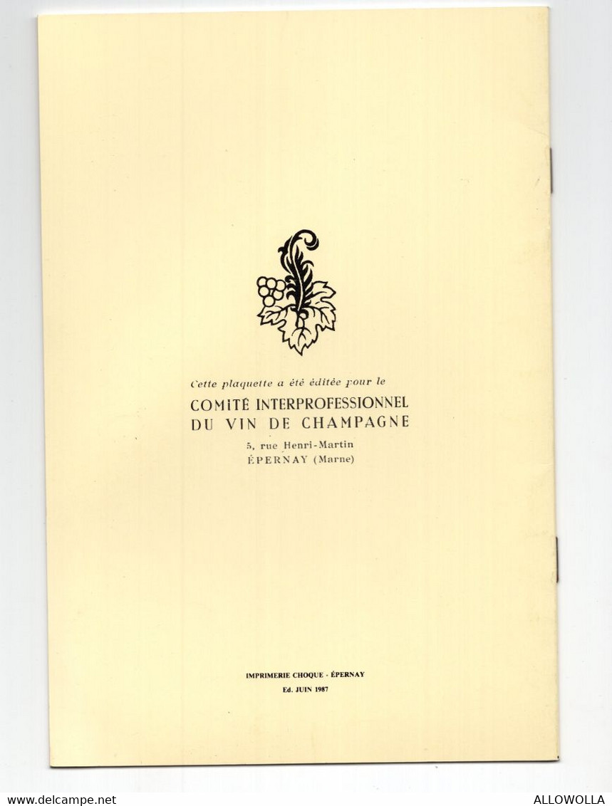 13987"  LES PROFESSIONS DU VIN DE CHAMPAGNE-ELEMENTS CHIFFRES-FACTEURS HUMAINS "12 PAGINE + COPERTINE-Cm. 23,5 X 16,0 - Autres & Non Classés