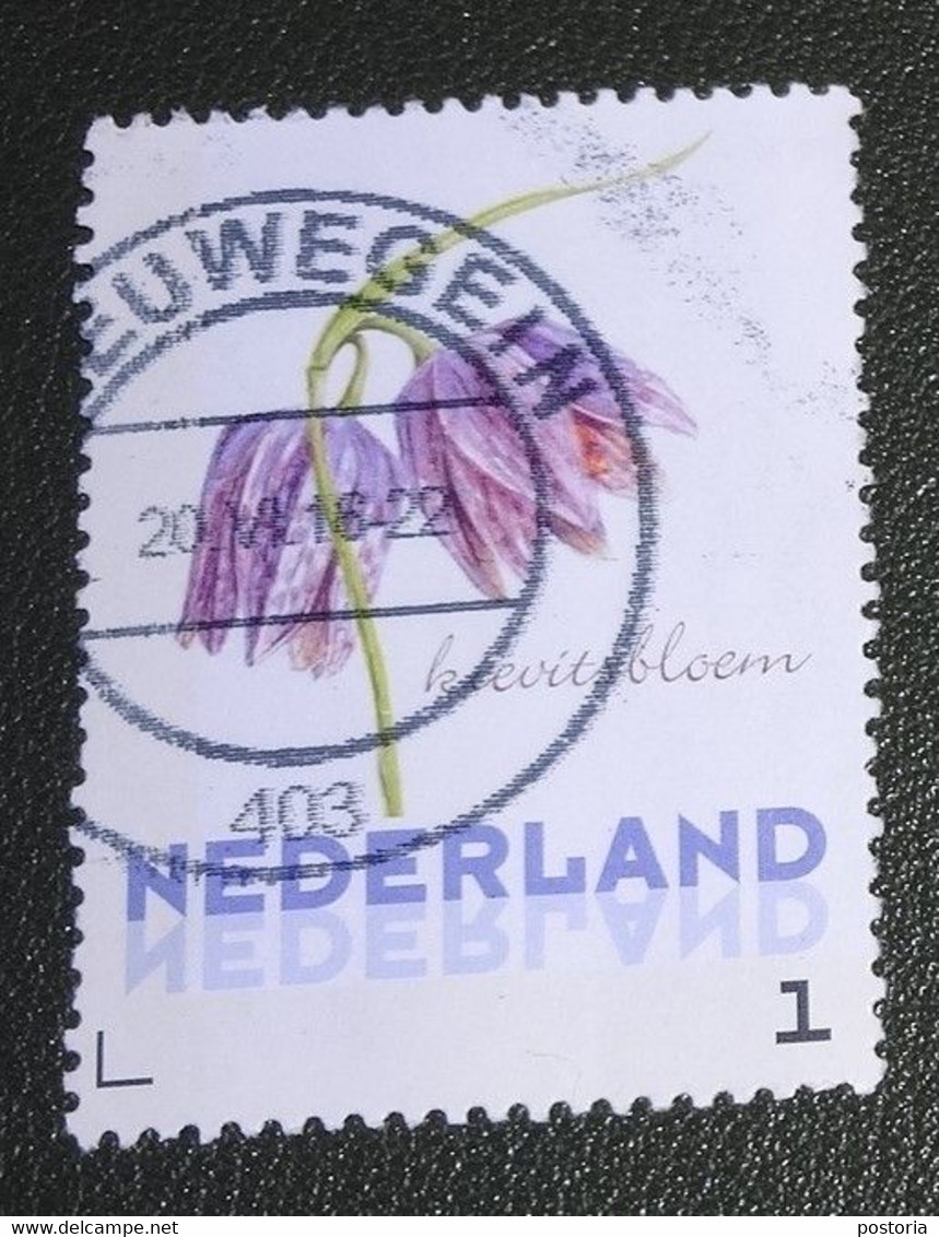 Nederland - NVPH - 3012 - 2014 - Persoonlijke Gebruikt - Cancelled - Brinkman - Kievitsbloem - Timbres Personnalisés