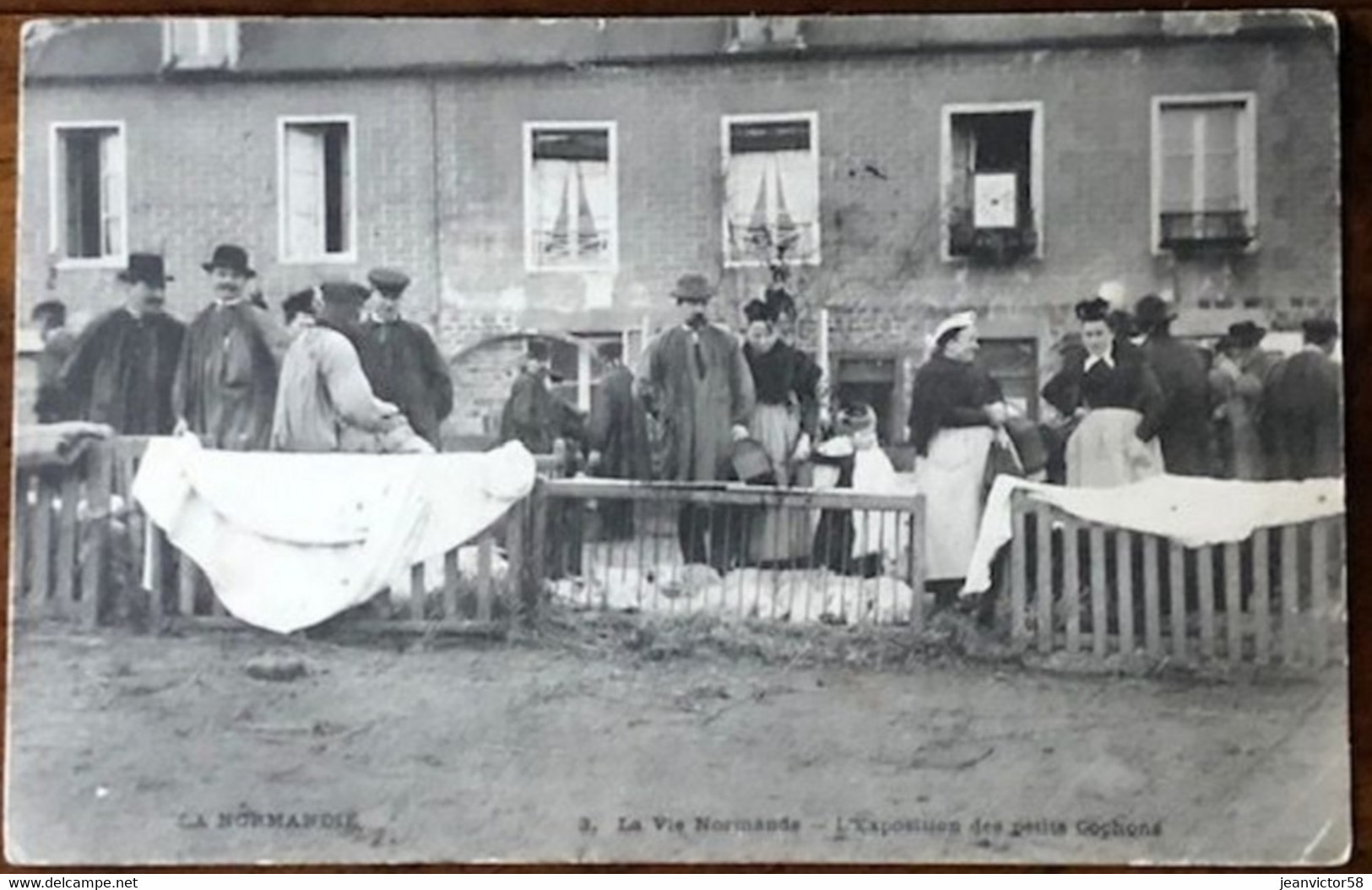 La Vie Normande L'exposition Des Petits Cochons  Marché à Vire  ( Identifié Dos De La Carte) - Vire