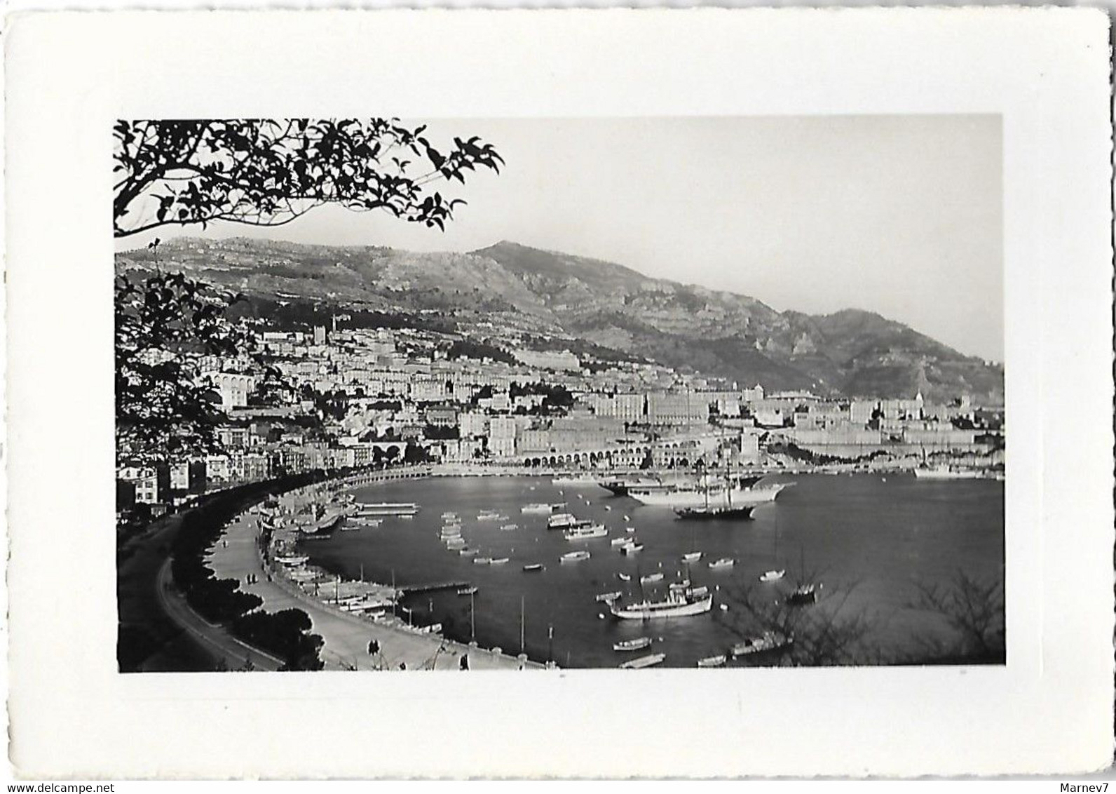 MONACO - Carte Photo Glacée - Principauté De - Le Port Et La Condamine - Edition: Palais De Monaco - Monte Carlo - - Porto