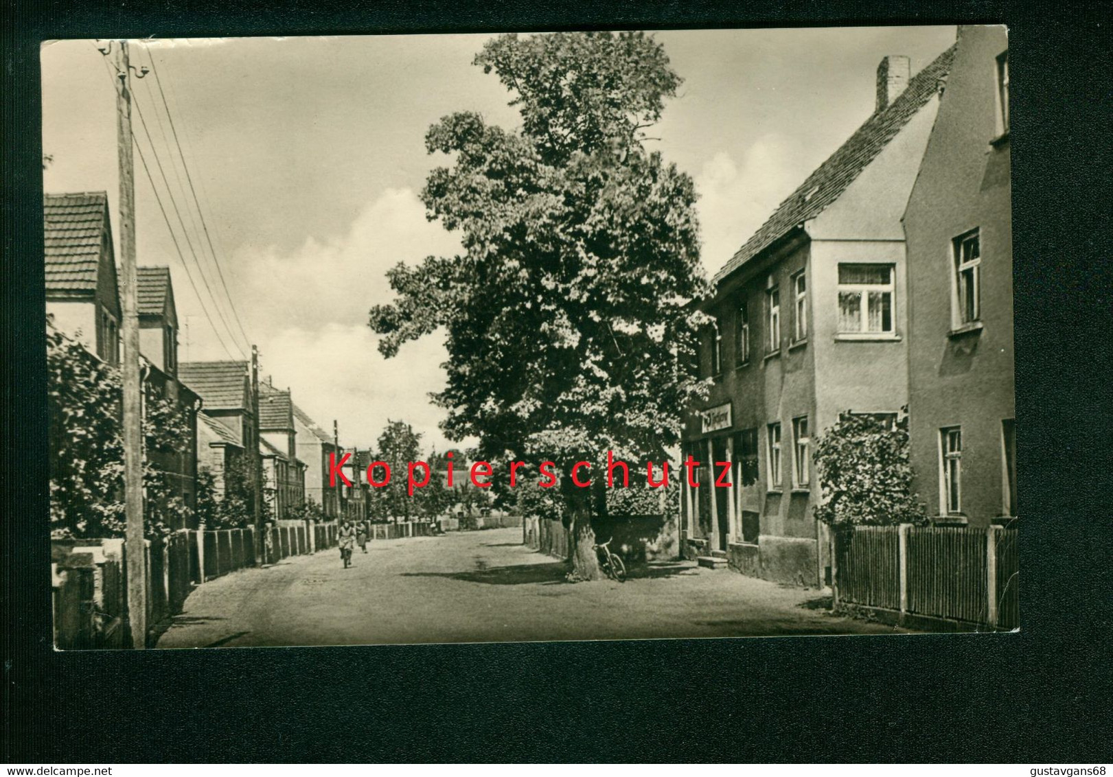 AK Prösen, Hauptstraße, Röderland, Kr. Bad Liebenwerda, Gel. 1965 - Proesen