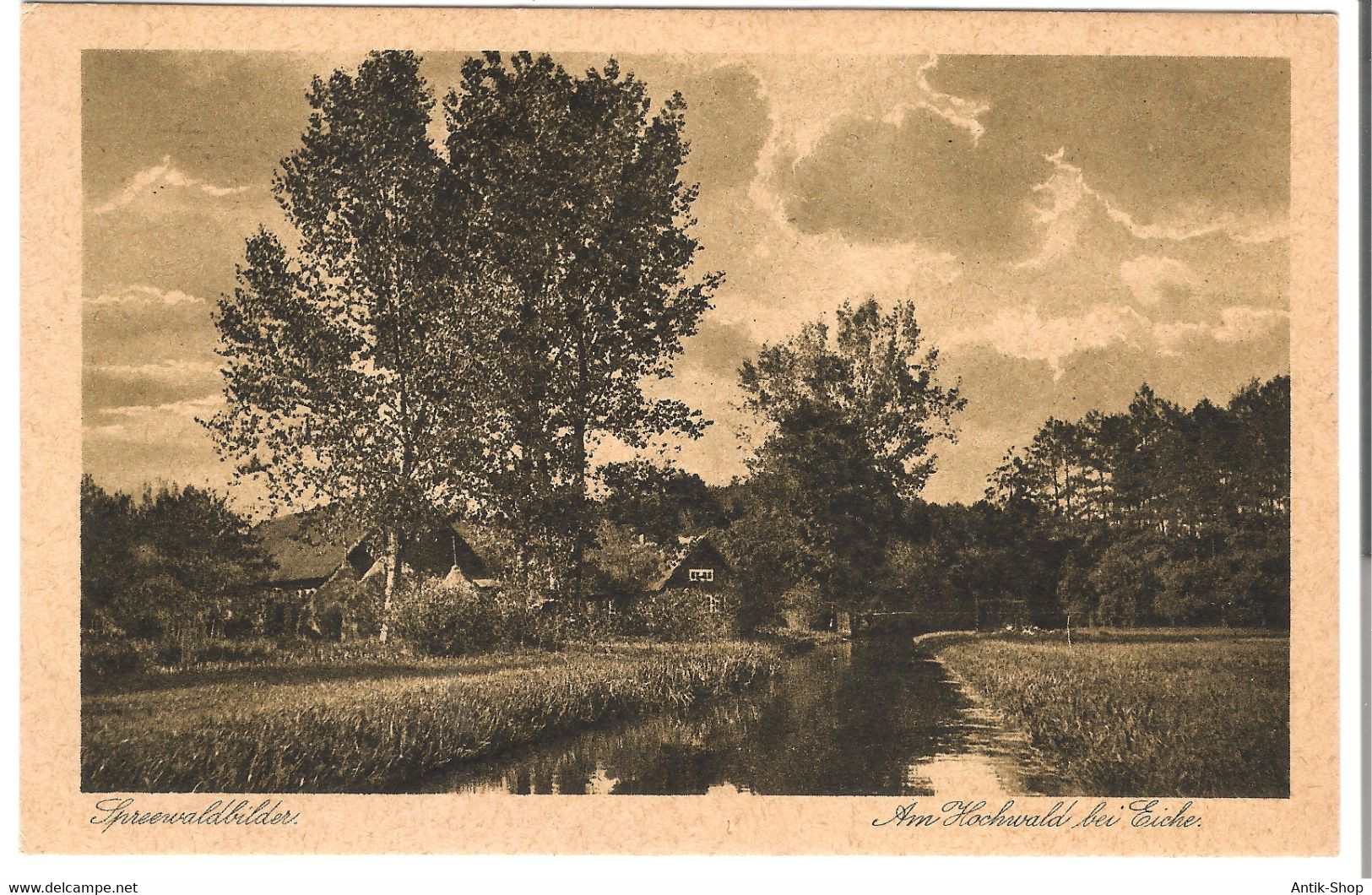 Spreewaldbilder - Am Hochwald Bei Eiche  V. 1913 (45501) - Burg (Spreewald)