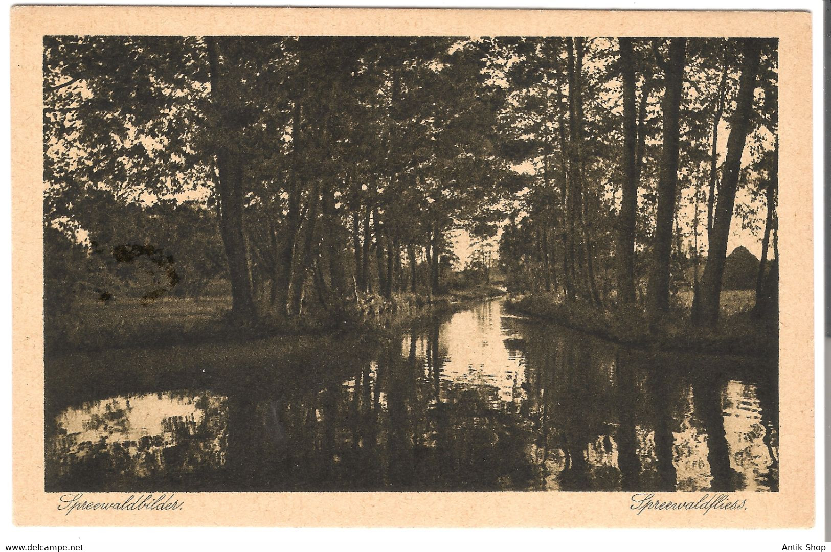 Spreewaldbilder - Spreewaldfliess  V. 1913 (45502) - Burg (Spreewald)