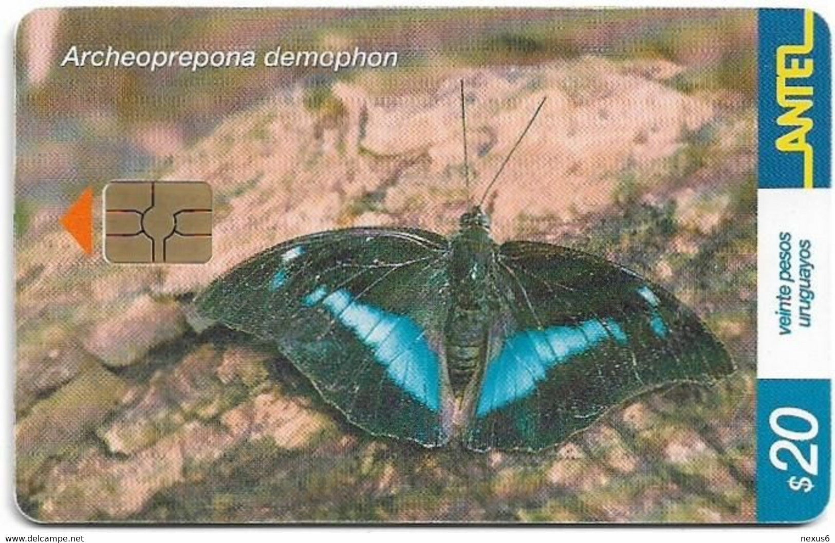 Uruguay - Antel - Archeoprepona Demophon Butterfly - TC 242a - 08.2002, 200.000ex, Used - Uruguay