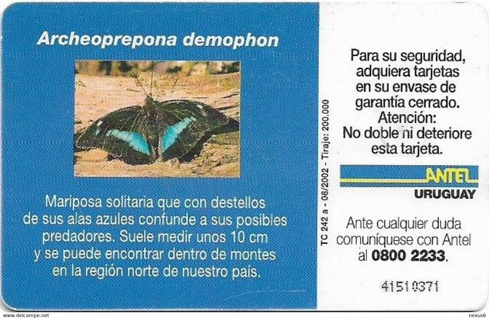 Uruguay - Antel - Archeoprepona Demophon Butterfly - TC 242a - 08.2002, 200.000ex, Used - Uruguay