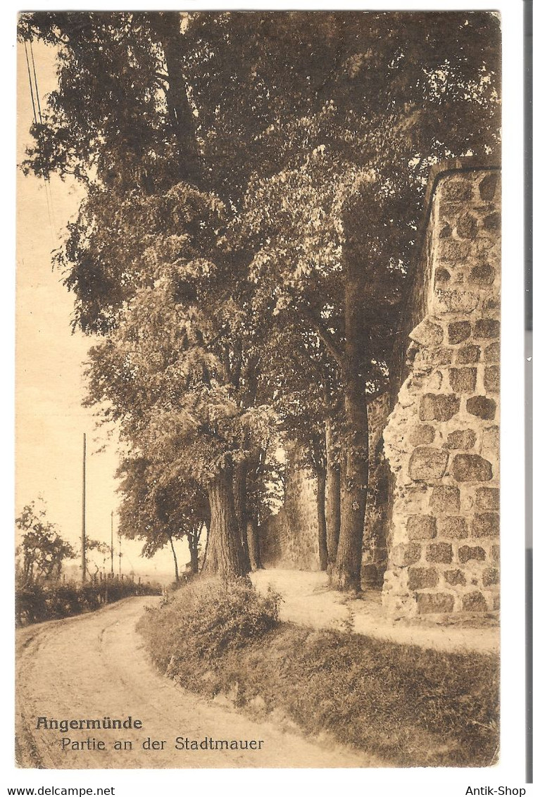 Angermünde - Partie An Der Stadtmauer V. 1909 (45519) - Angermuende