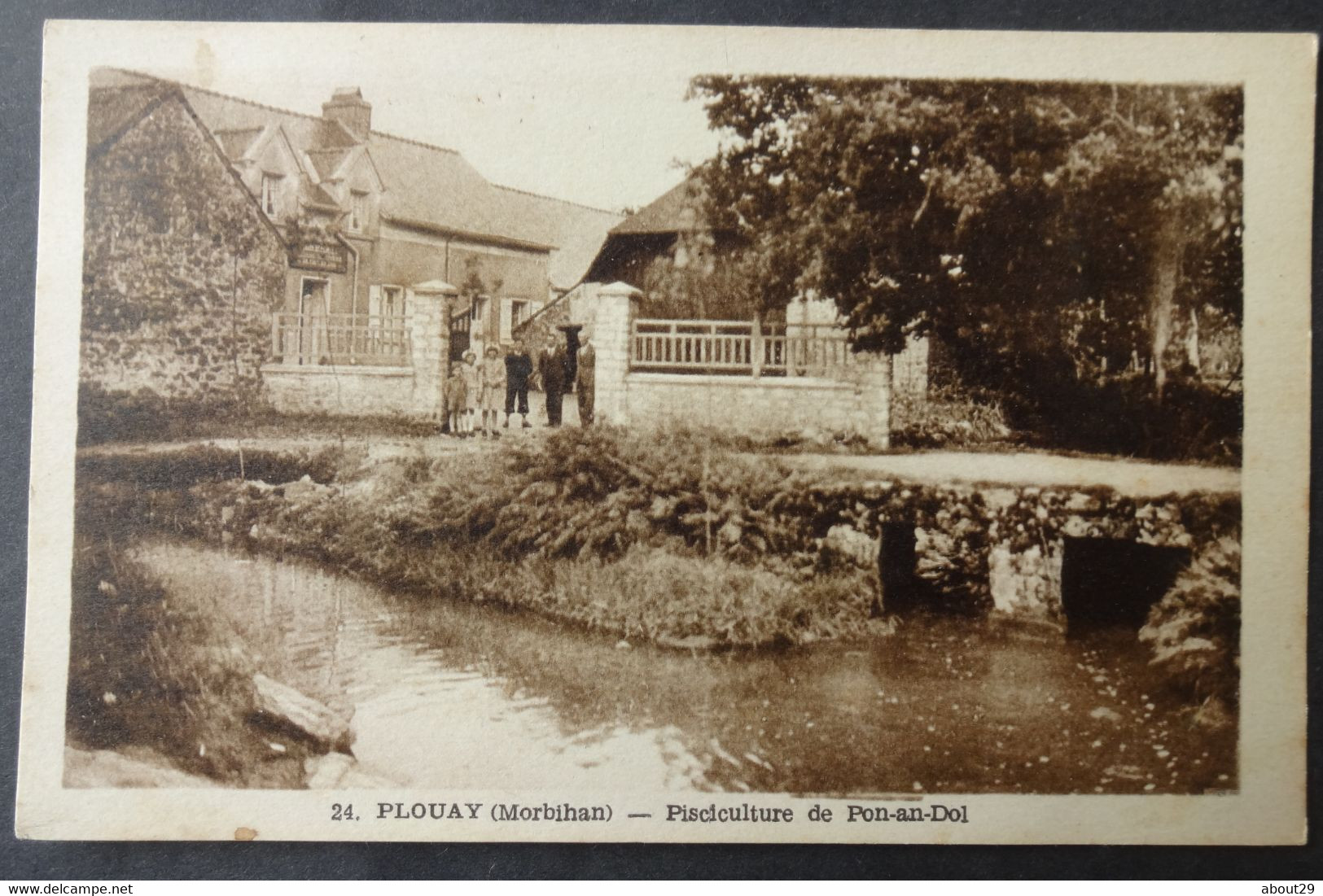 CPA 56 PLOUAY - La Pisciculture De Pon-an-Dol - Nozais 24 - Réf. R 27 - Pont Scorff