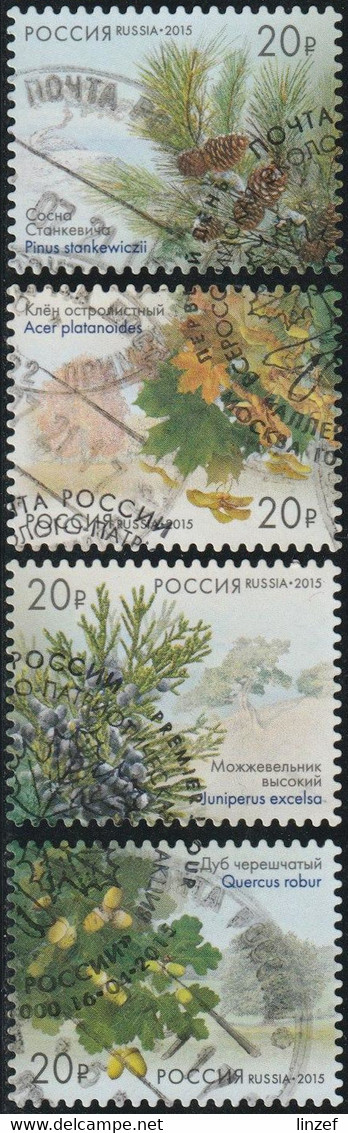 Russie 2015 Yv. N°7577 à 7580 - Pin - Oblitéré - Usados