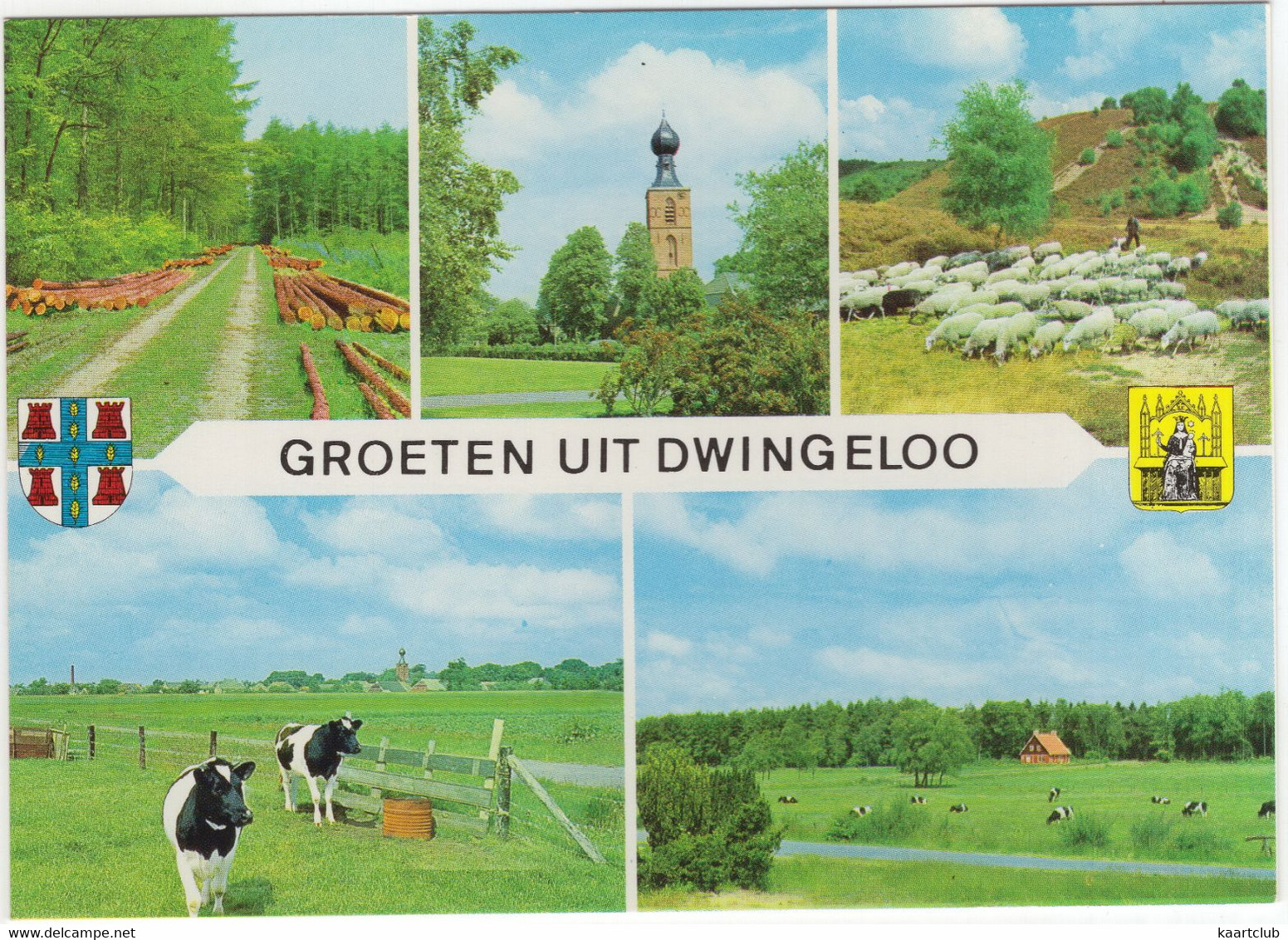 Groeten Uit Dwingeloo - (Drenthe, Nederland) - Nr. L 374 - Dwingeloo